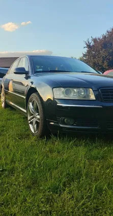 samochody osobowe Audi A8 cena 24500 przebieg: 356000, rok produkcji 2003 z Kościan